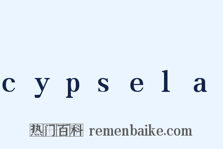 cypsela是什么意思的图片